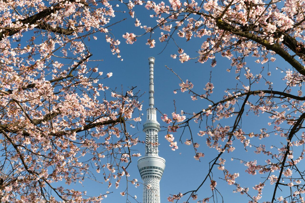 東京晴空塔春季外觀，634公尺日本最高塔