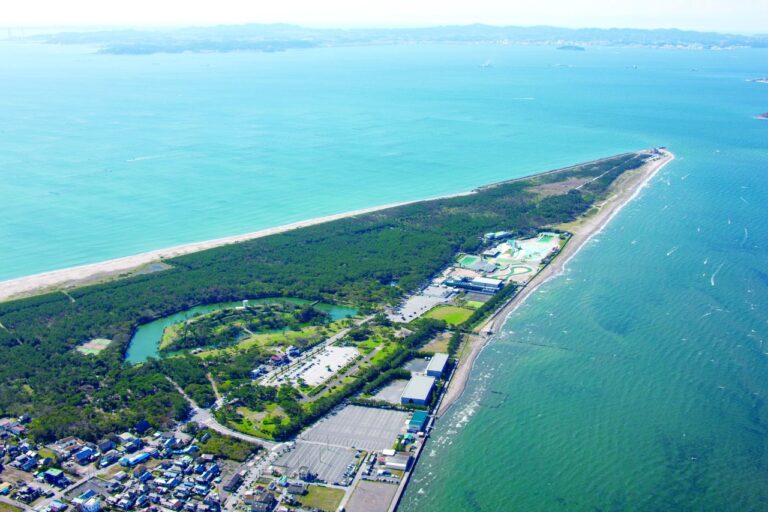 【富津公園】免費入場:展望塔+海灘+露營|千葉