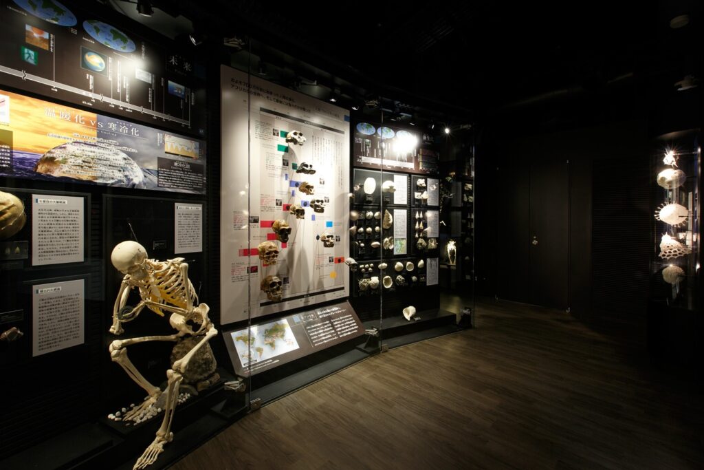 御船町恐龍博物館-