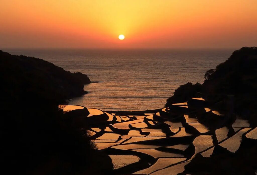 濱野浦梯田的夕陽