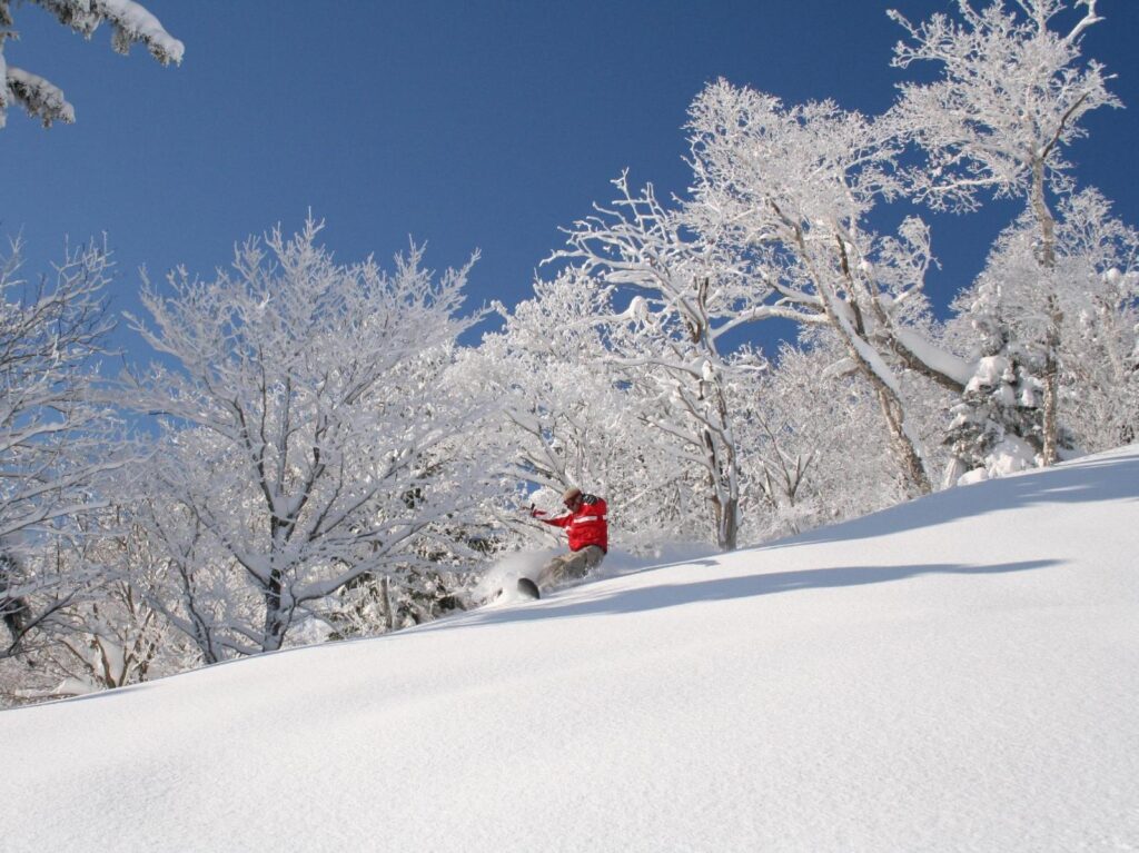 富良野自然之森旅館 (Furano Natulux Hotel) 酒店照片 4/5
