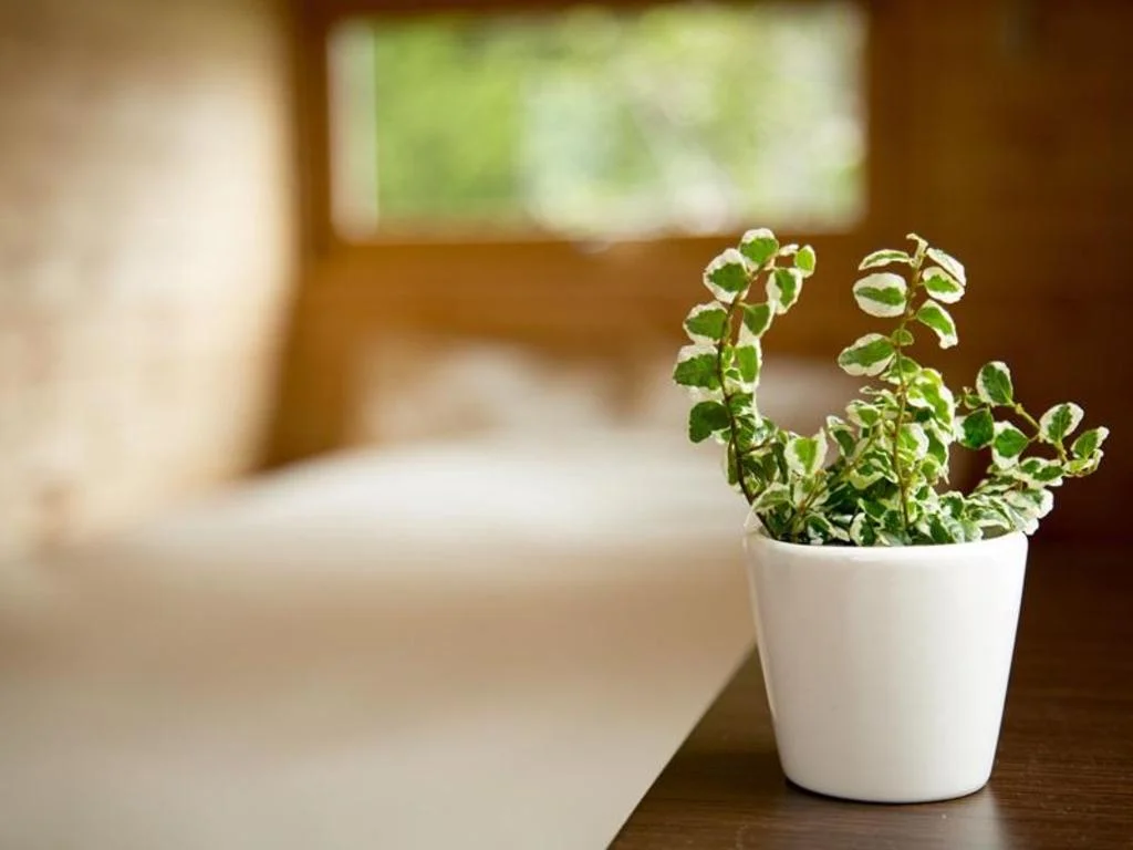 Brick House Furano 富良野住宿照片 (4)