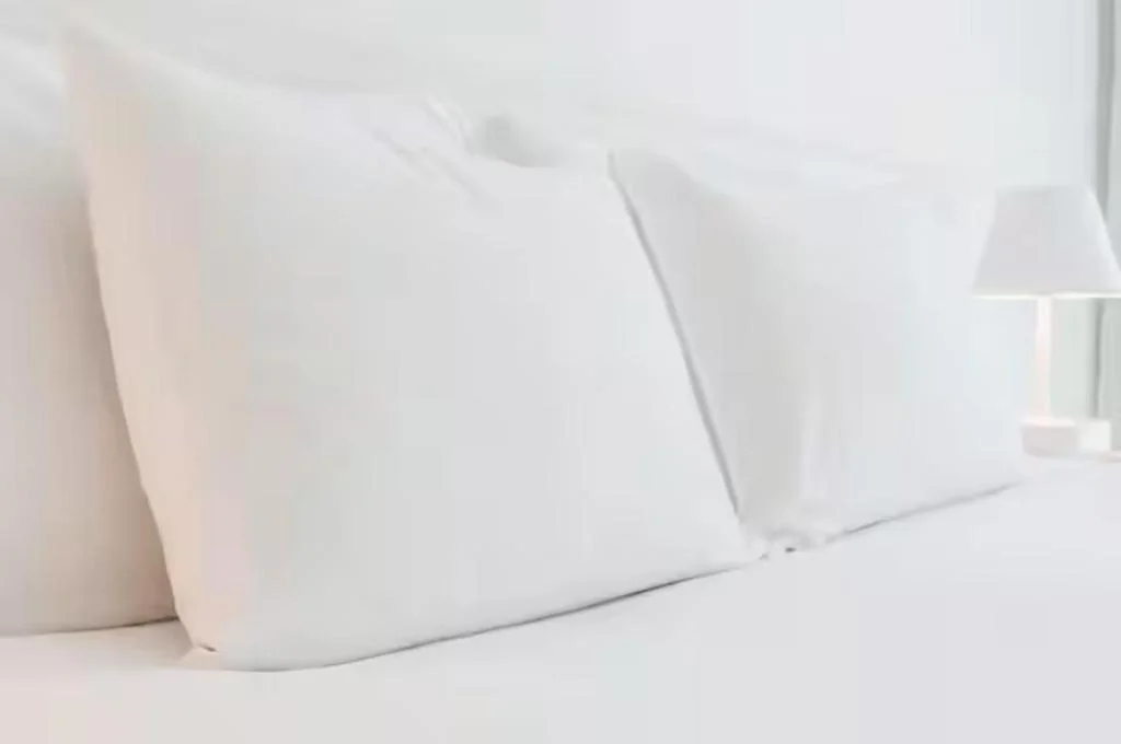 Four Points Flex by Sheraton Shin Osaka 大阪住宿照片 (2)