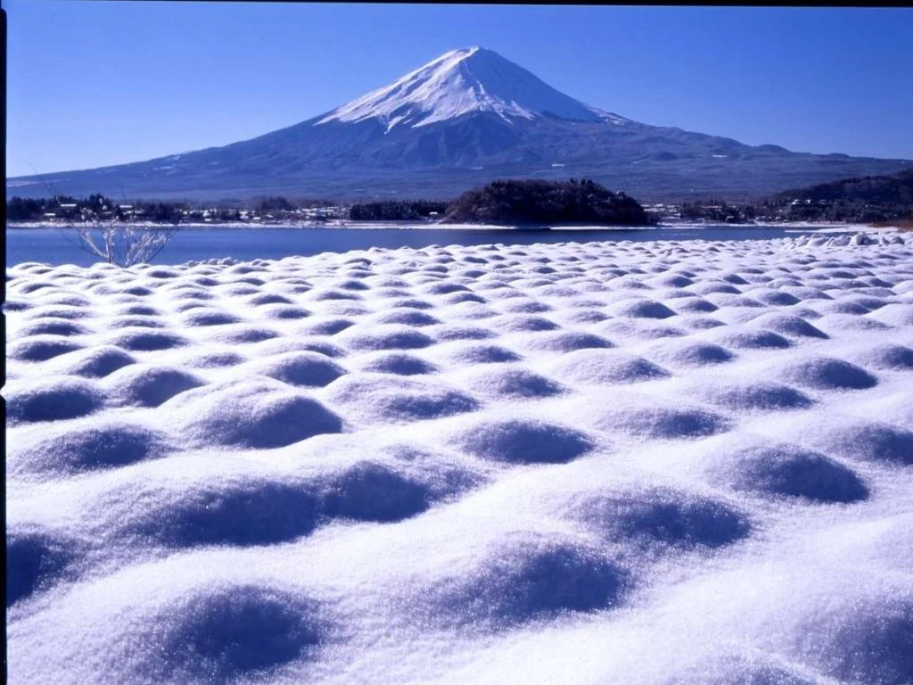 Fuji Lake Hotel 日本住宿照片 (5)