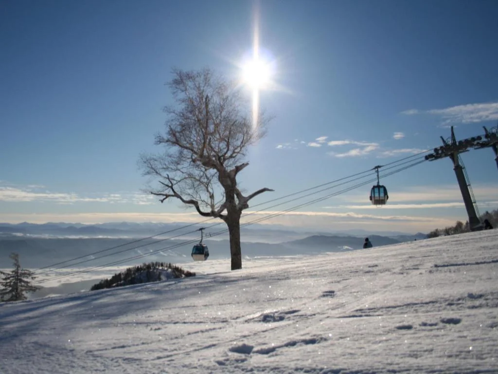 Furano Natulux Hotel 富良野住宿照片 (5)