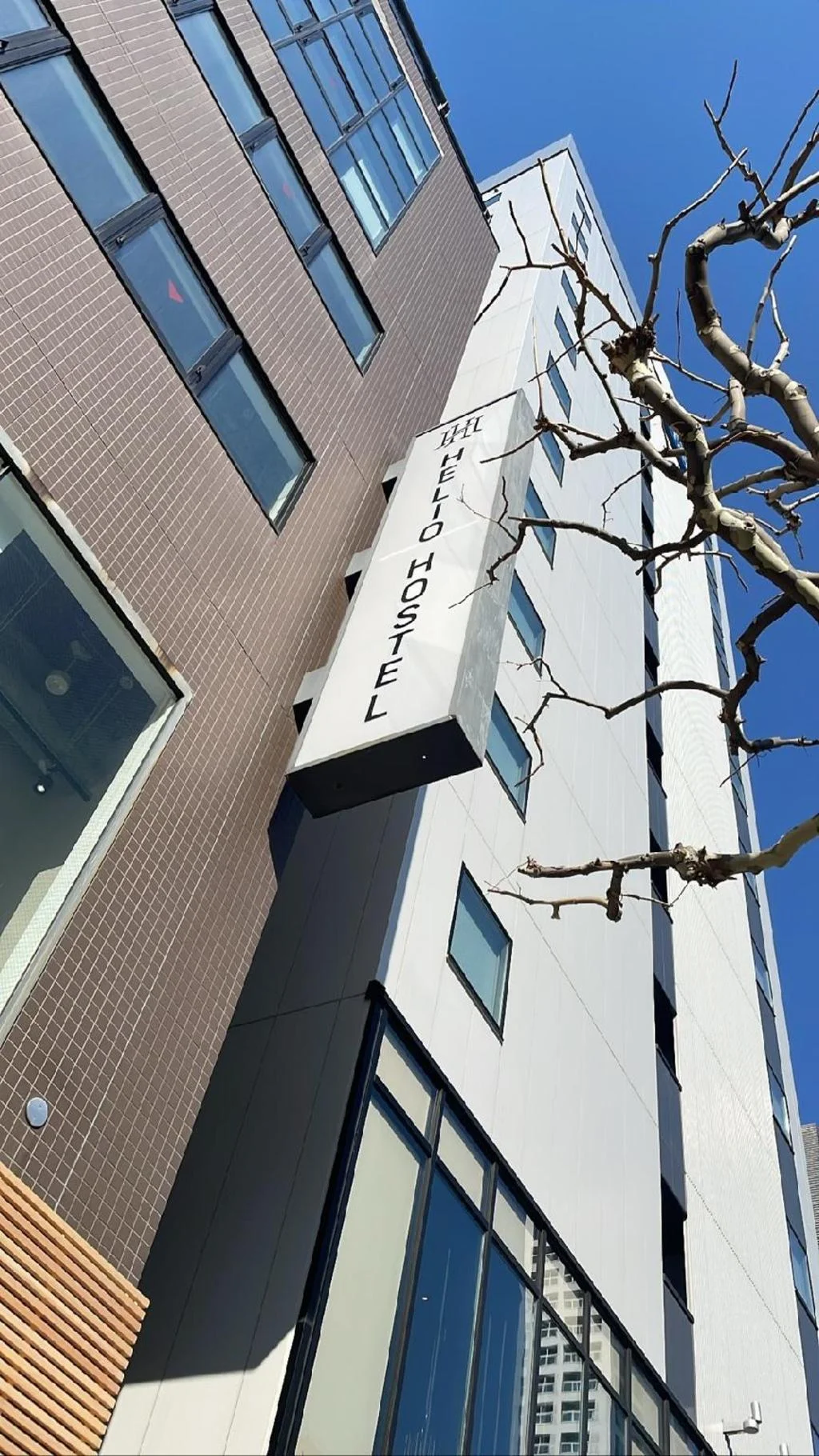 HELIO HOSTEL SAPPORO 札幌住宿照片 (3)