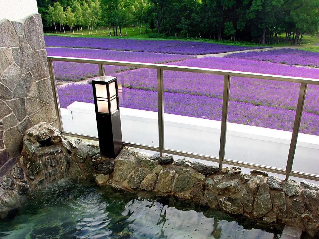 Highland Furano 富良野住宿照片 (4)