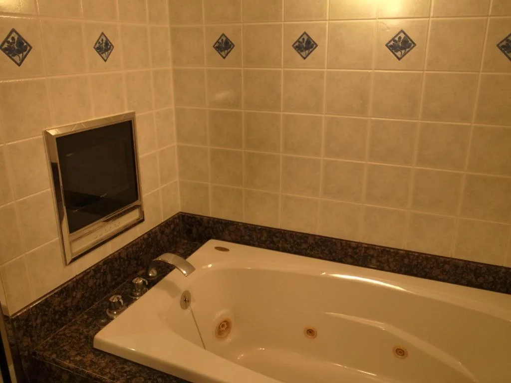 Hotel Alps 大阪住宿照片 (4)