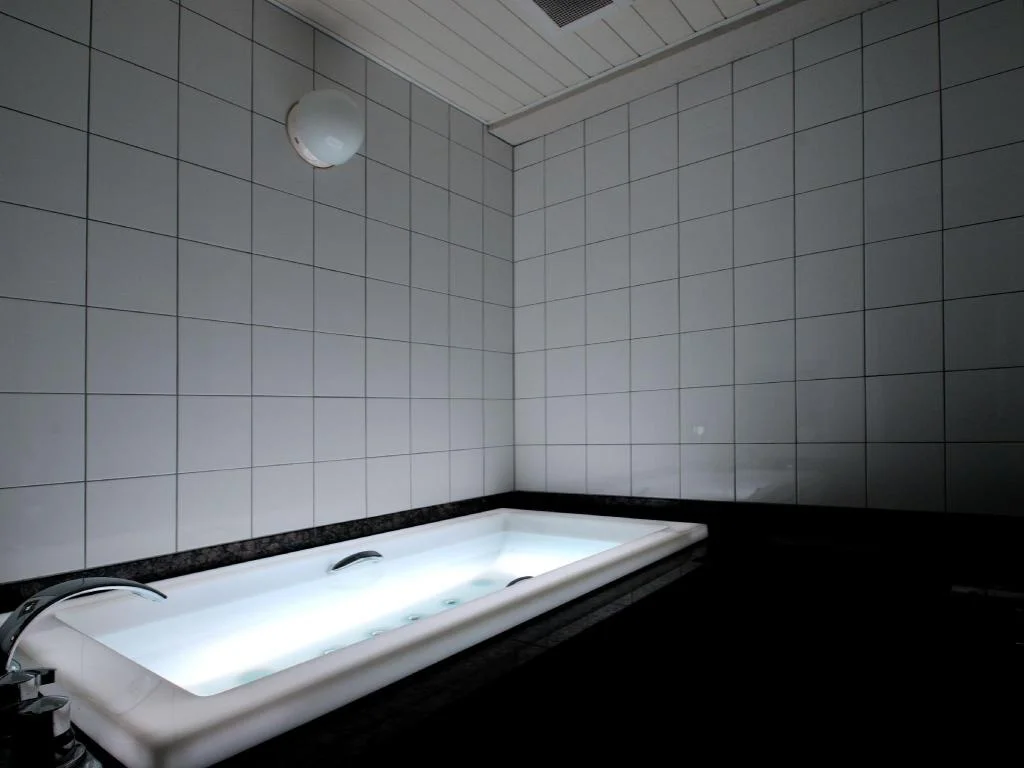 Hotel Alps 大阪住宿照片 (5)