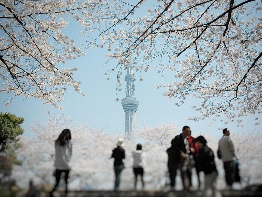 Hotel Keihan Asakusa 東京住宿照片 (4)