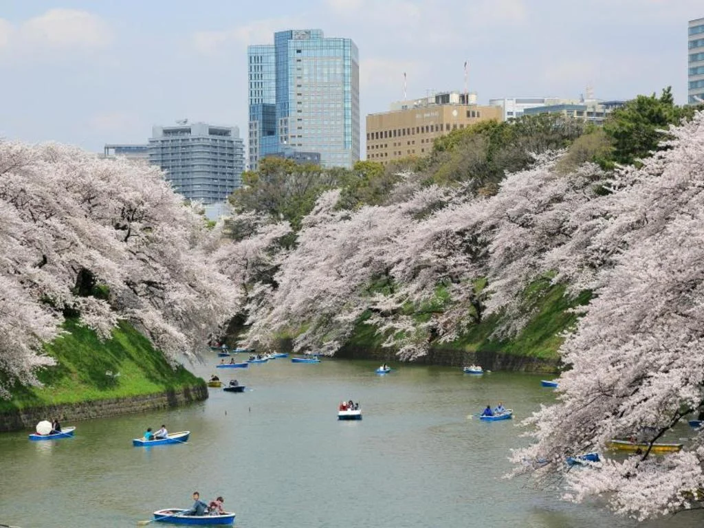 Hotel Monterey Akasaka 東京住宿照片 (4)