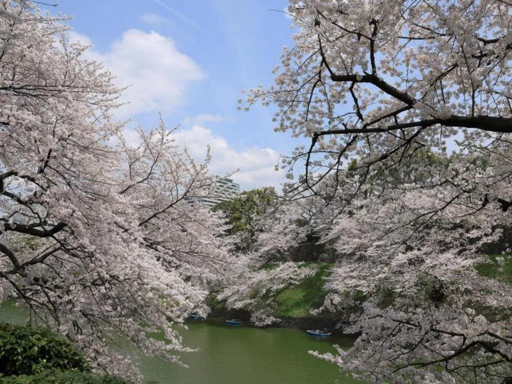 Hotel Monterey Akasaka 東京住宿照片 (5)