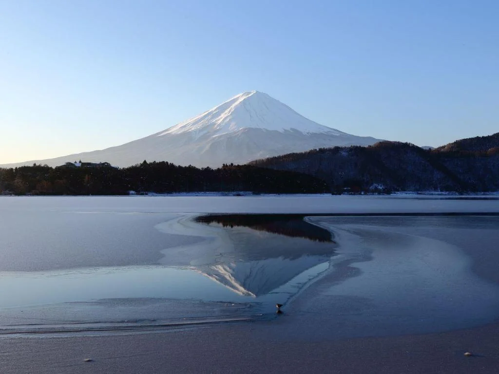 HOTEL MYSTAYS Fuji Onsen Resort 日本住宿照片 (5)