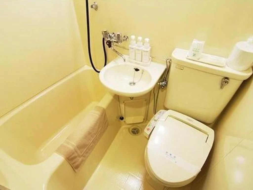 Hotel Newstar Ikebukuro 東京住宿照片 (2)