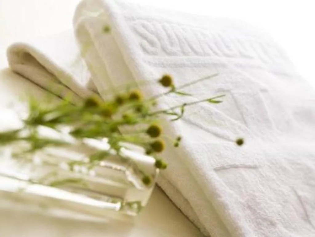 Hotel Sunroute Sapporo 札幌住宿照片 (2)