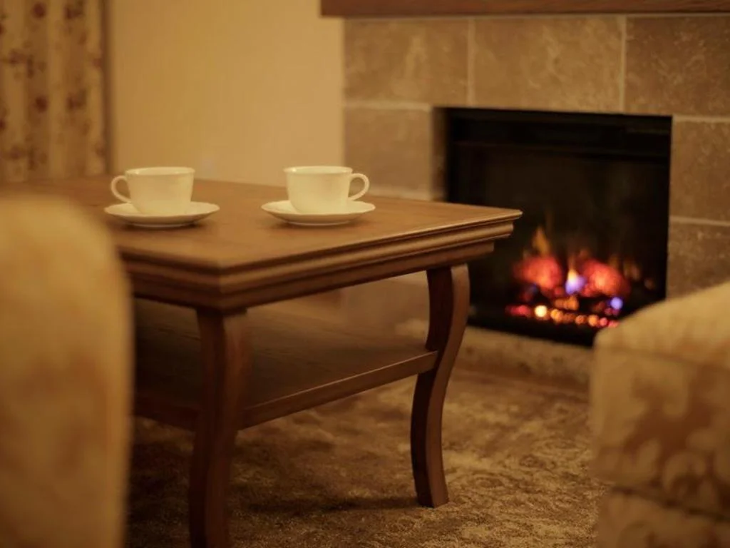 La Vista Fuji Kawaguchiko 日本住宿照片 (4)