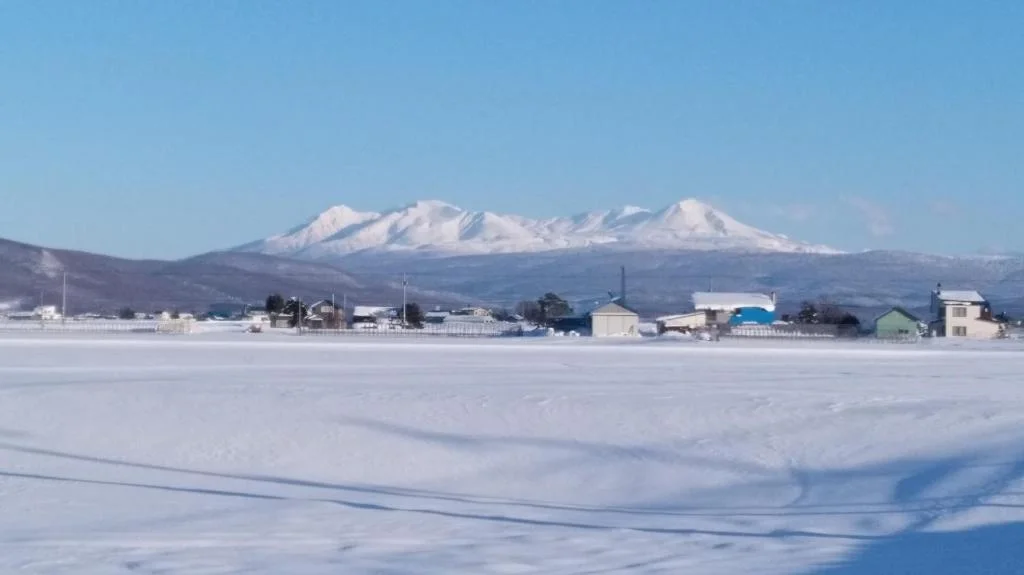 Mush Rooms 札幌住宿照片 (1)