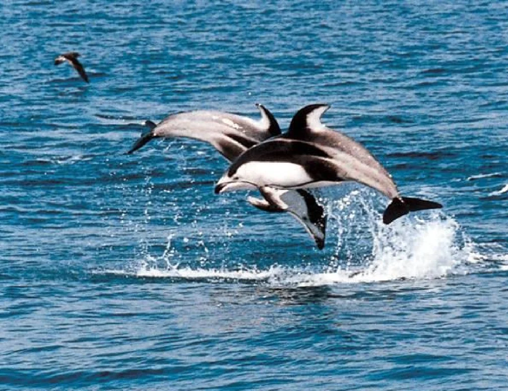 NakaFurano Okamachi Hill House B 富良野住宿照片 (4)