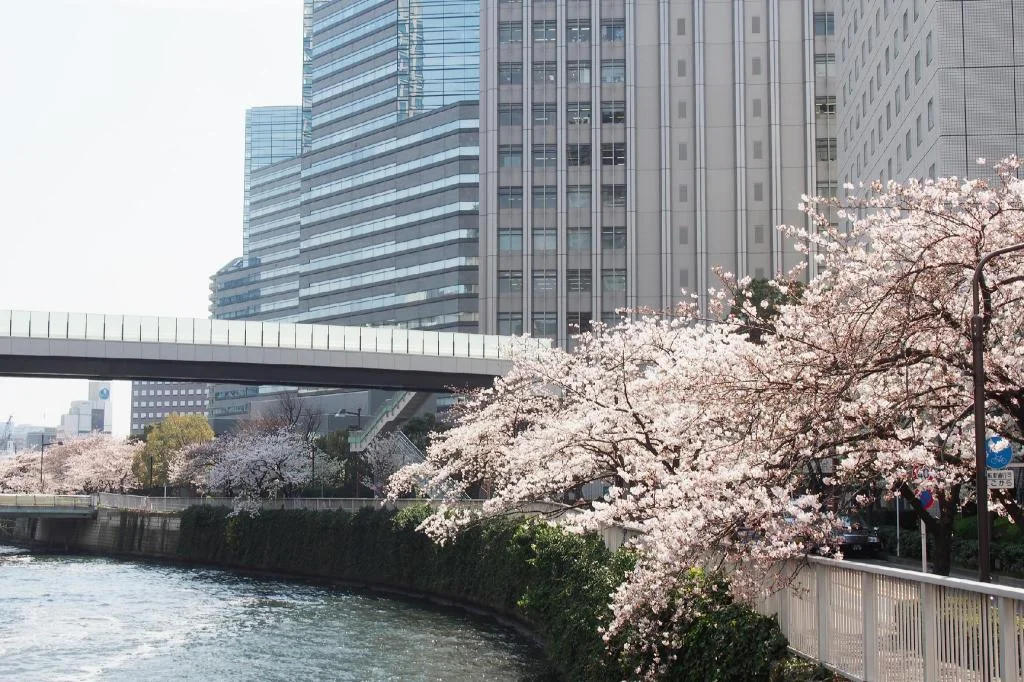 New Otani Inn Tokyo 東京住宿照片 (4)