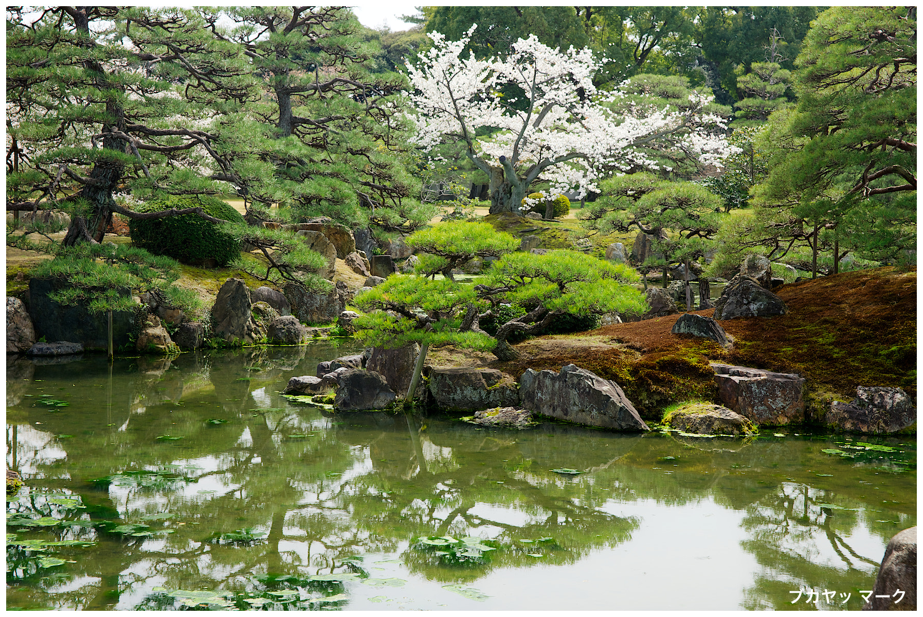 Nijo Castle Garden (2994