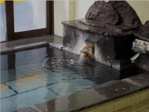 Pension Ohno 富良野住宿照片 (3)