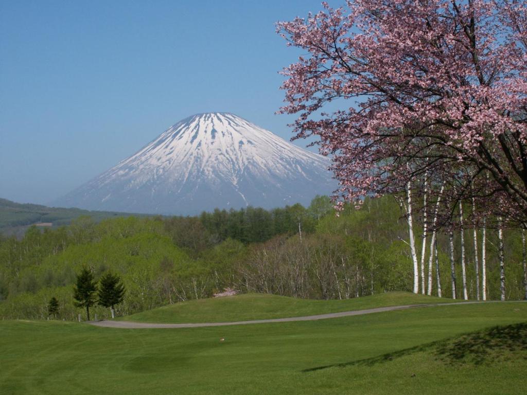 Rusutsu Resort Hotel & Convention 北海道住宿照片 (4)