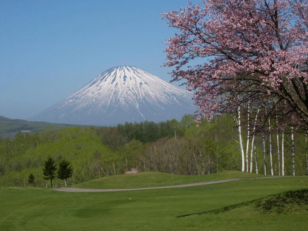 Rusutsu Resort Hotel & Convention 日本住宿照片 (4)