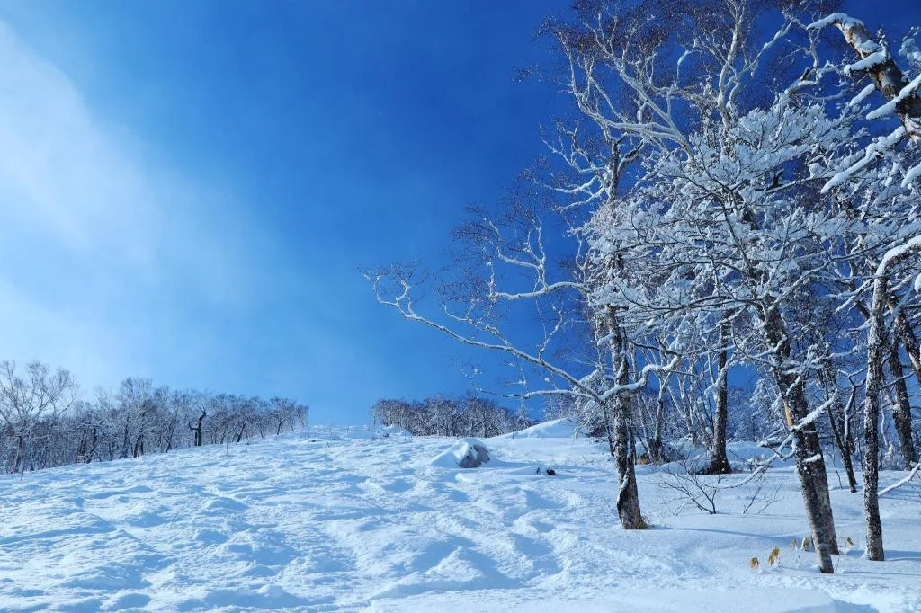 Sahoro Resort Hotel 二世古住宿照片 (3)