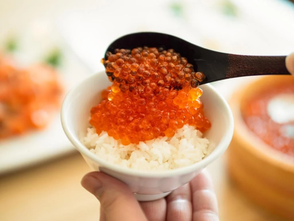 Sounkaku 二世古住宿照片 (4)