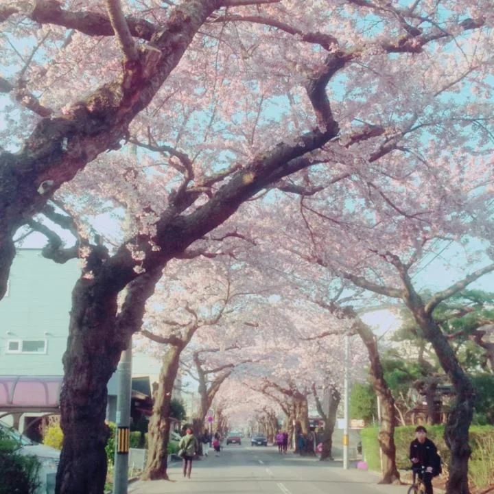 STAY Akeboshi Kan 札幌住宿照片 (1)