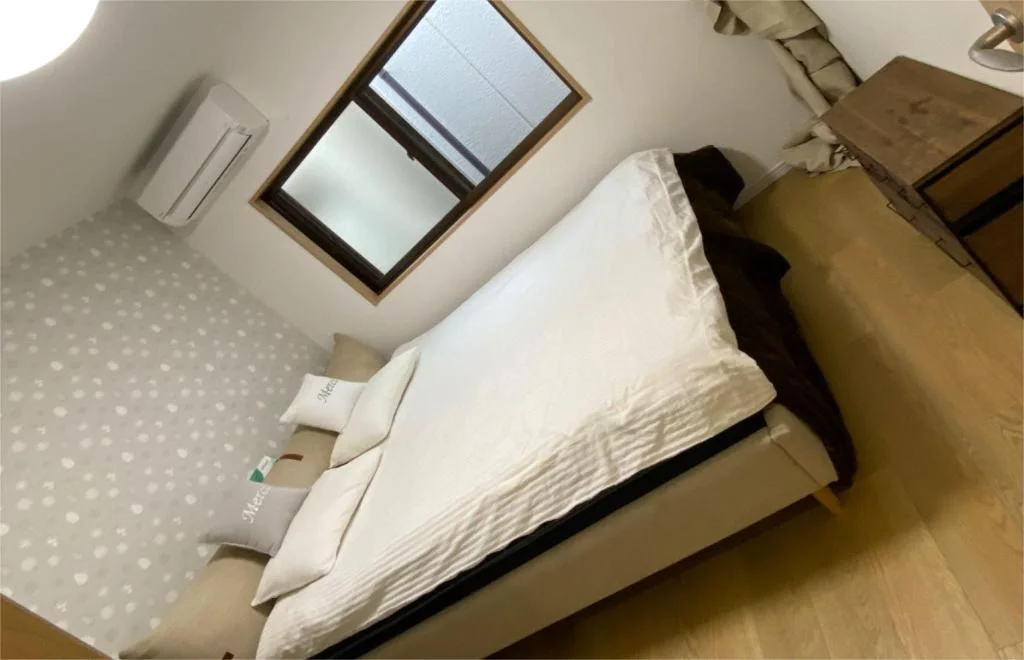 Three-Person Guesthouse near Dotonbori and Shinsaibashi 大阪住宿照片 (3)