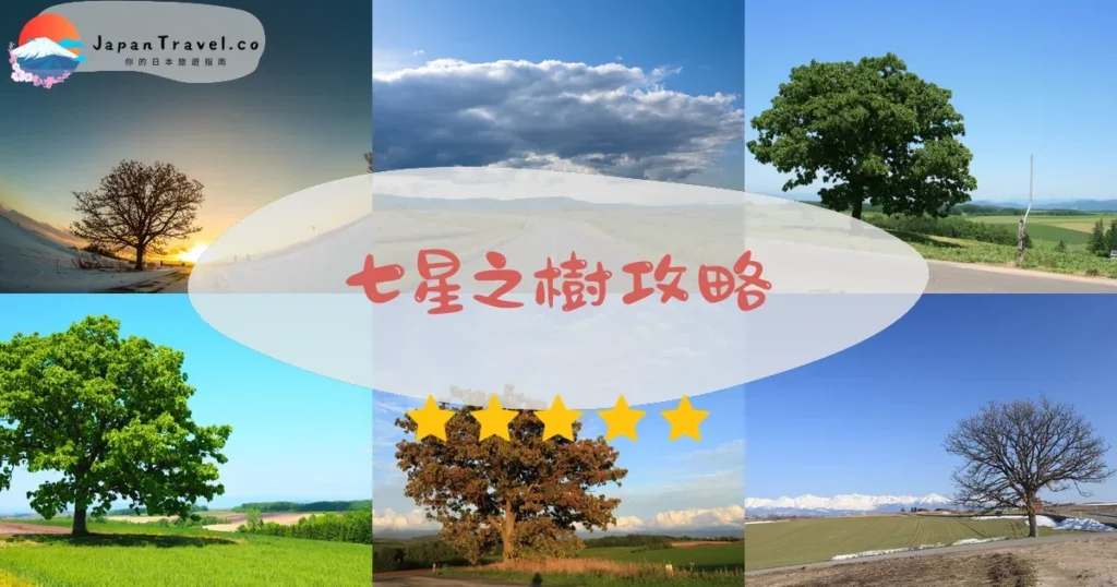 富良野七星之樹攻略 - 完整遊覽指南 | JapanTravel.co