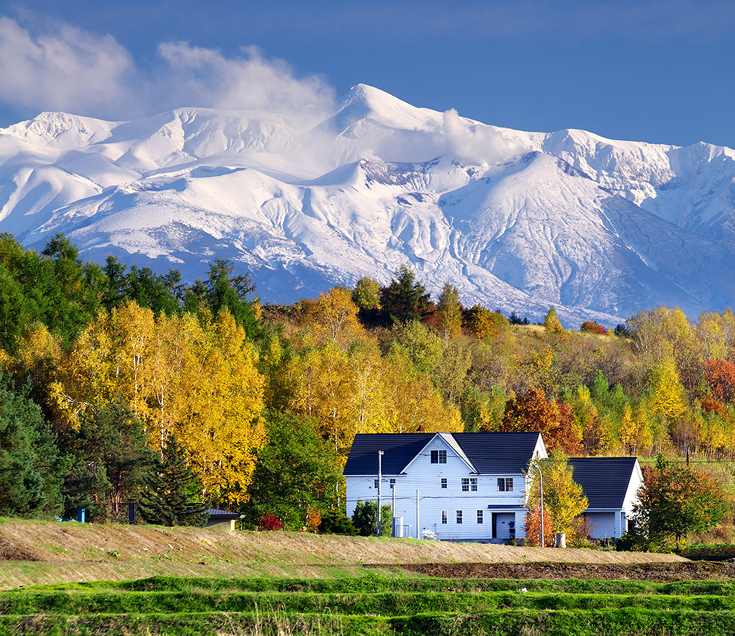 伊藤賓館・白色歐風別墅風格・寧靜住宿