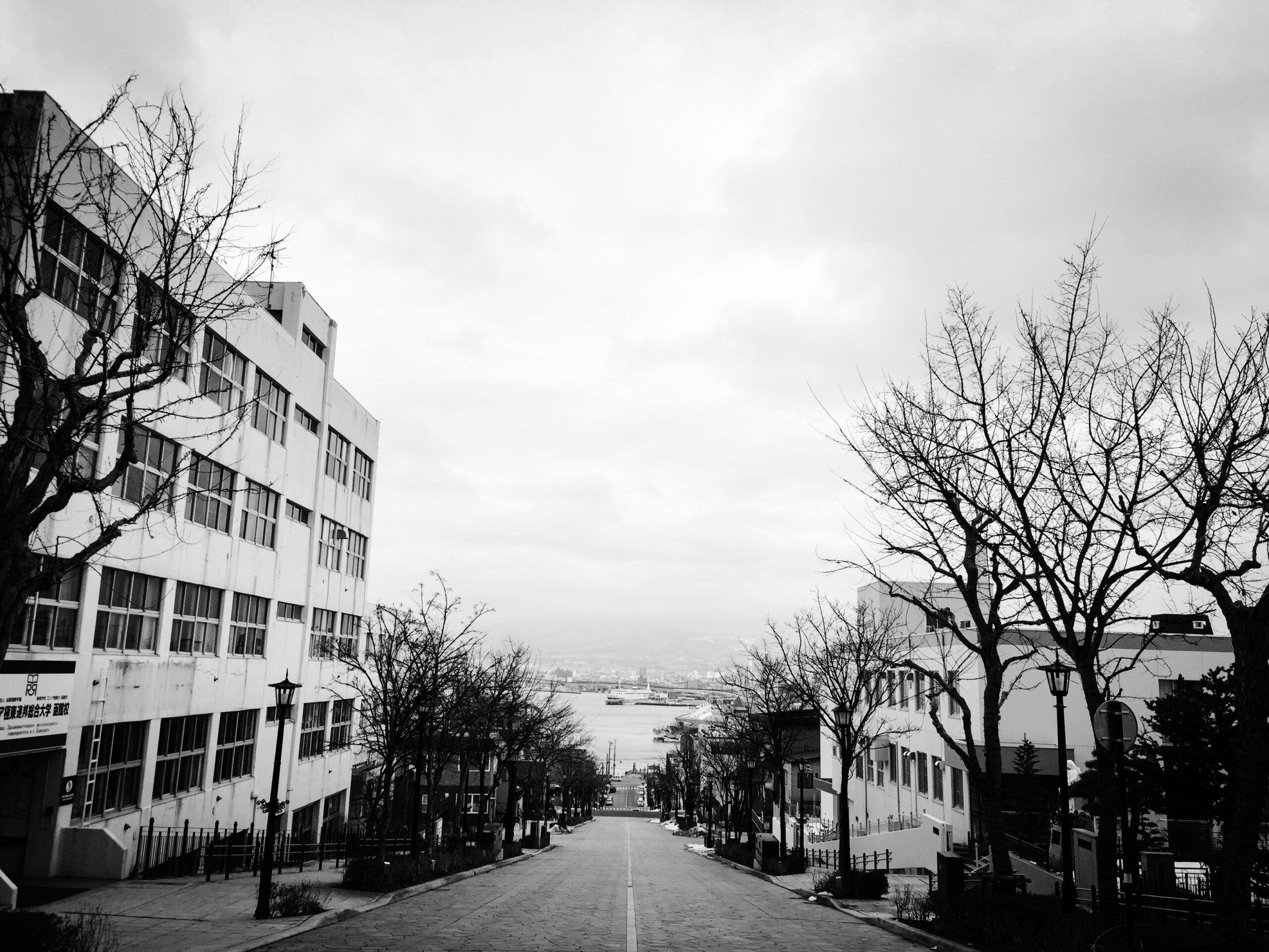 函館八幡坂海港延伸景觀