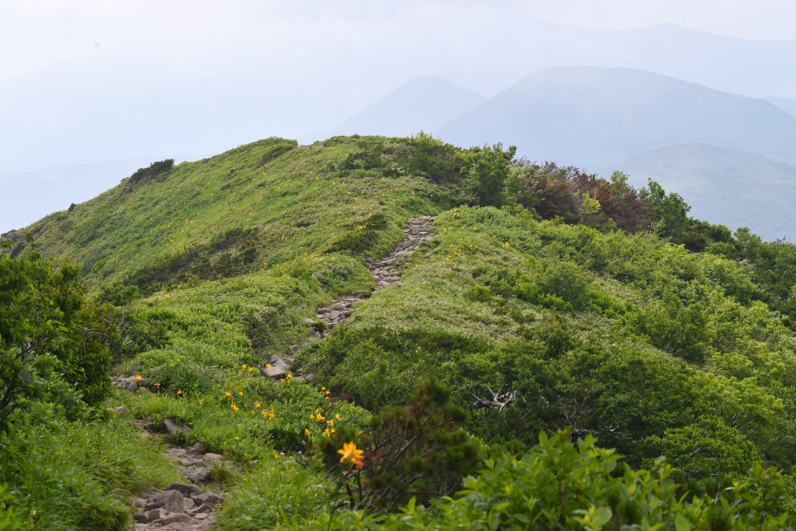 北海道羊蹄山（ニセコアンヌプリ）健行