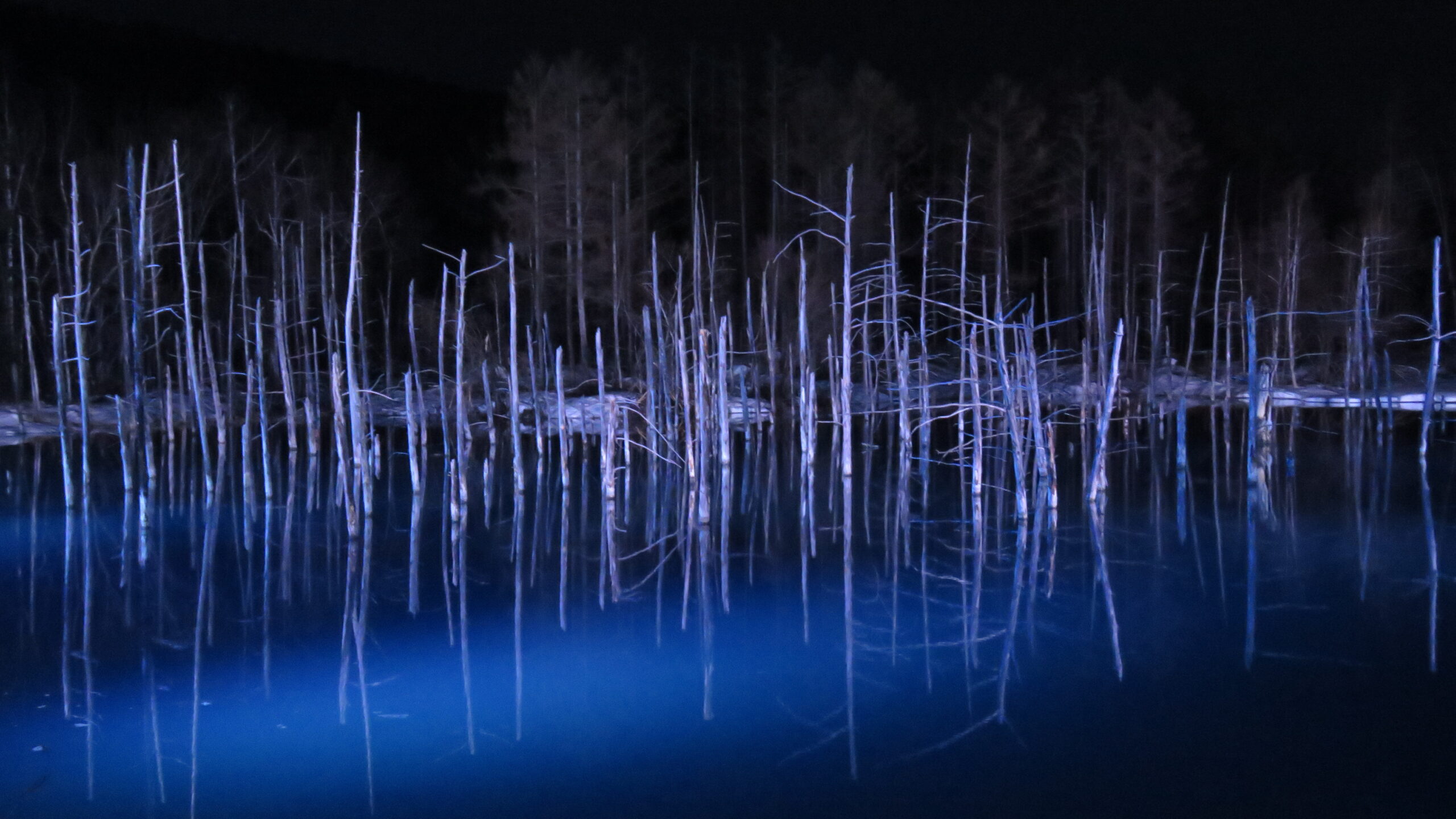 北海道美瑛青池夜景