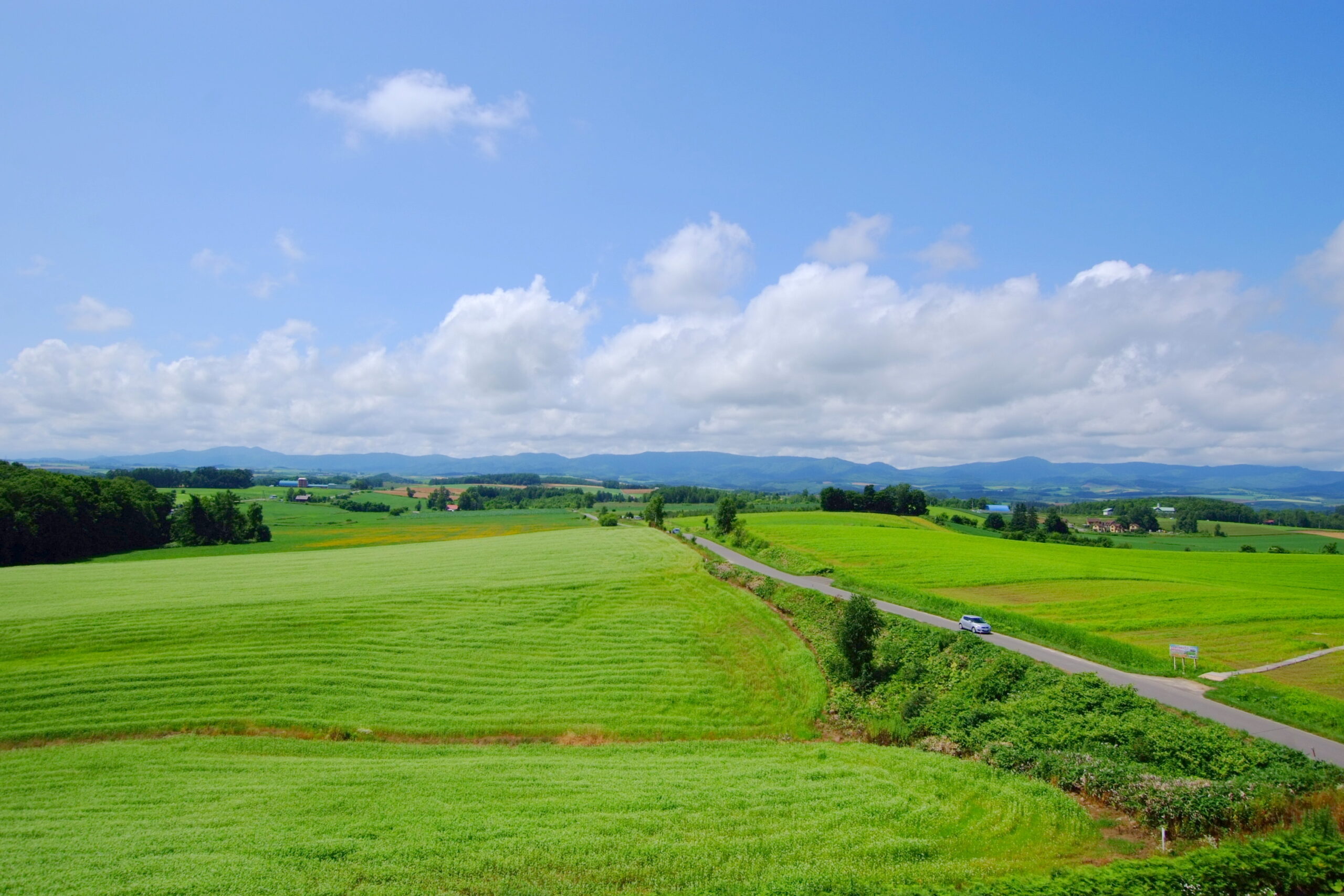 北西之丘觀景台