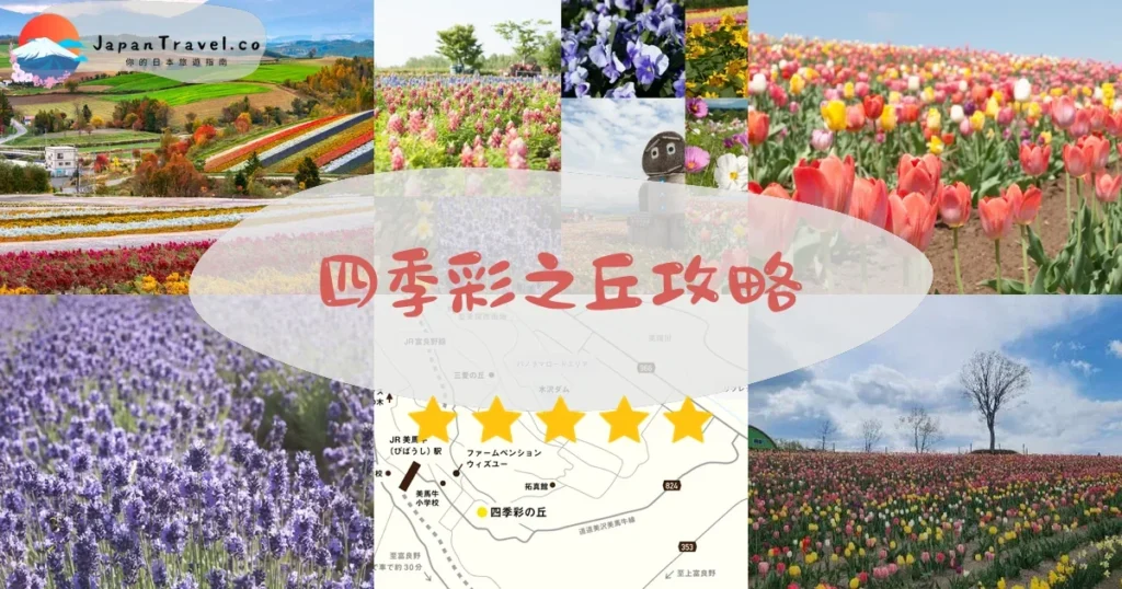 富良野四季彩之丘攻略 - 完整遊覽指南 | JapanTravel.co