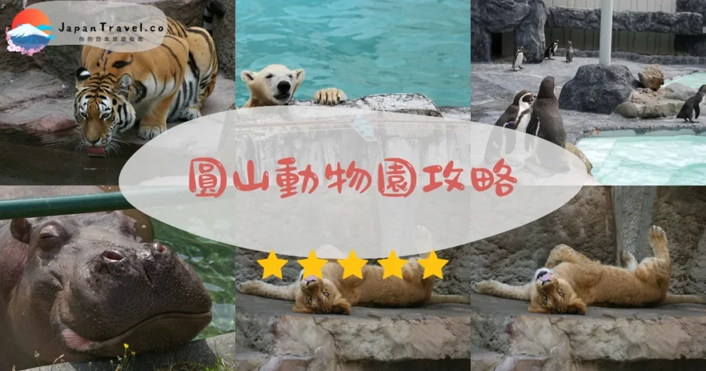 札幌圓山動物園攻略 - 完整遊覽指南 | JapanTravel.co