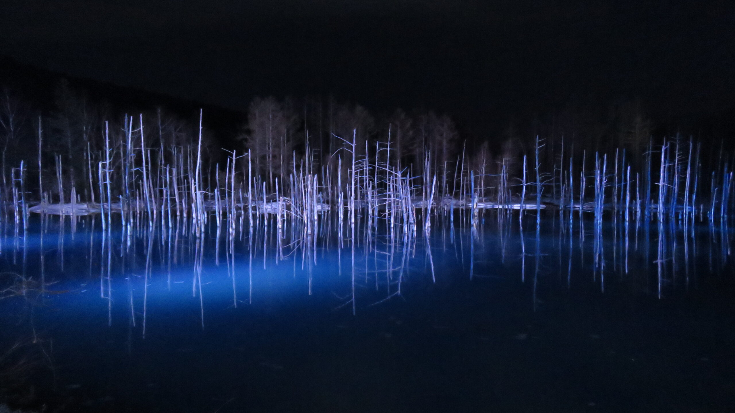夜晚的白金青池