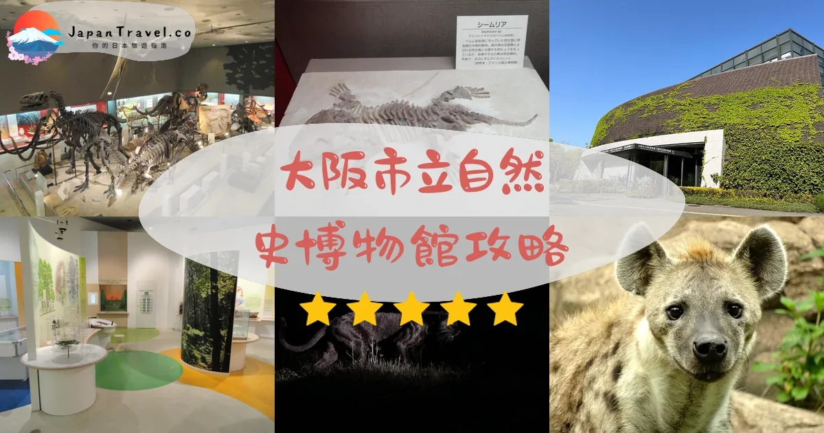 大阪大阪市立自然史博物館攻略 - 完整遊覽指南 | JapanTravel.co