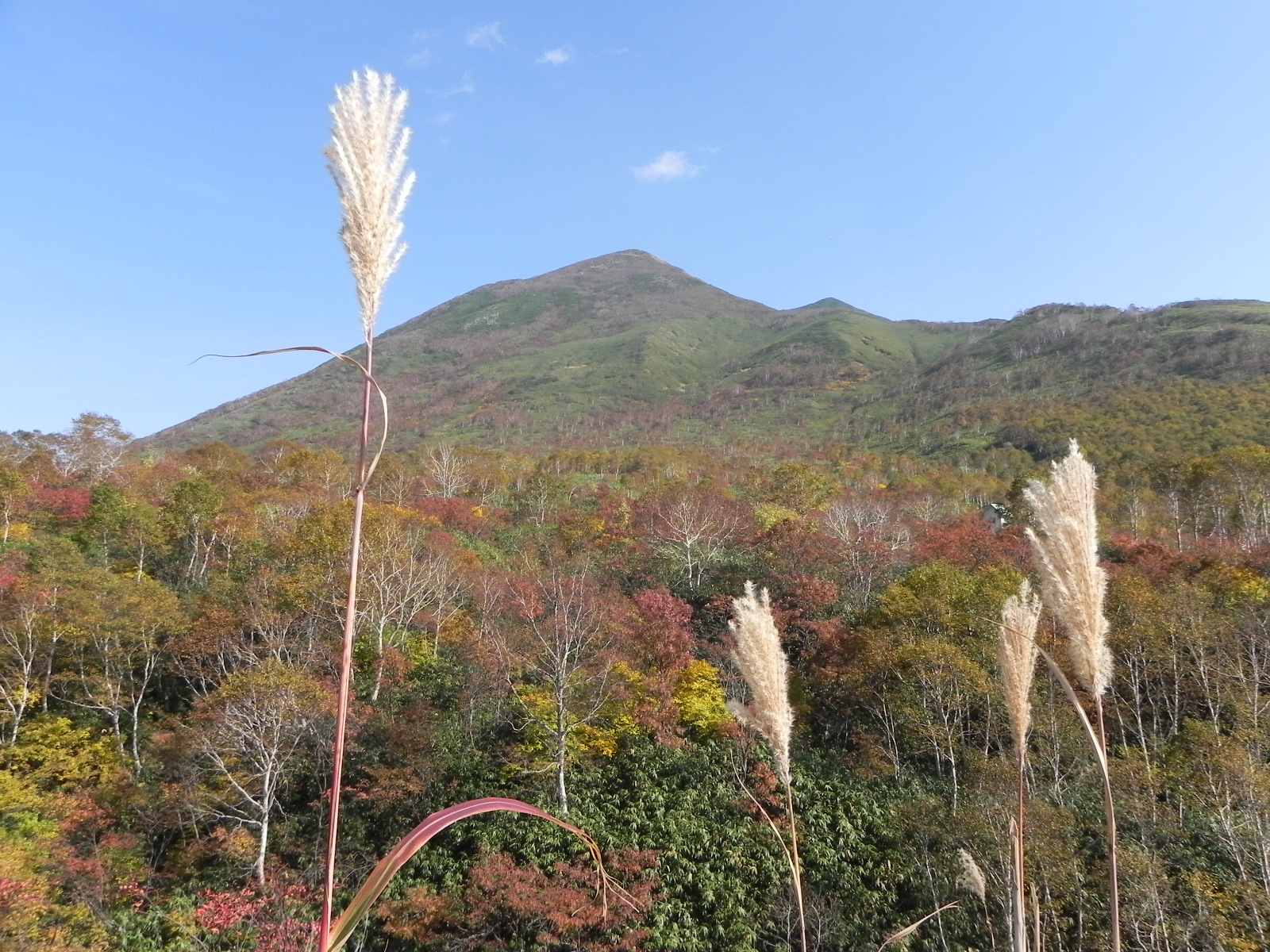 安努普里滑雪場初級雪道全景