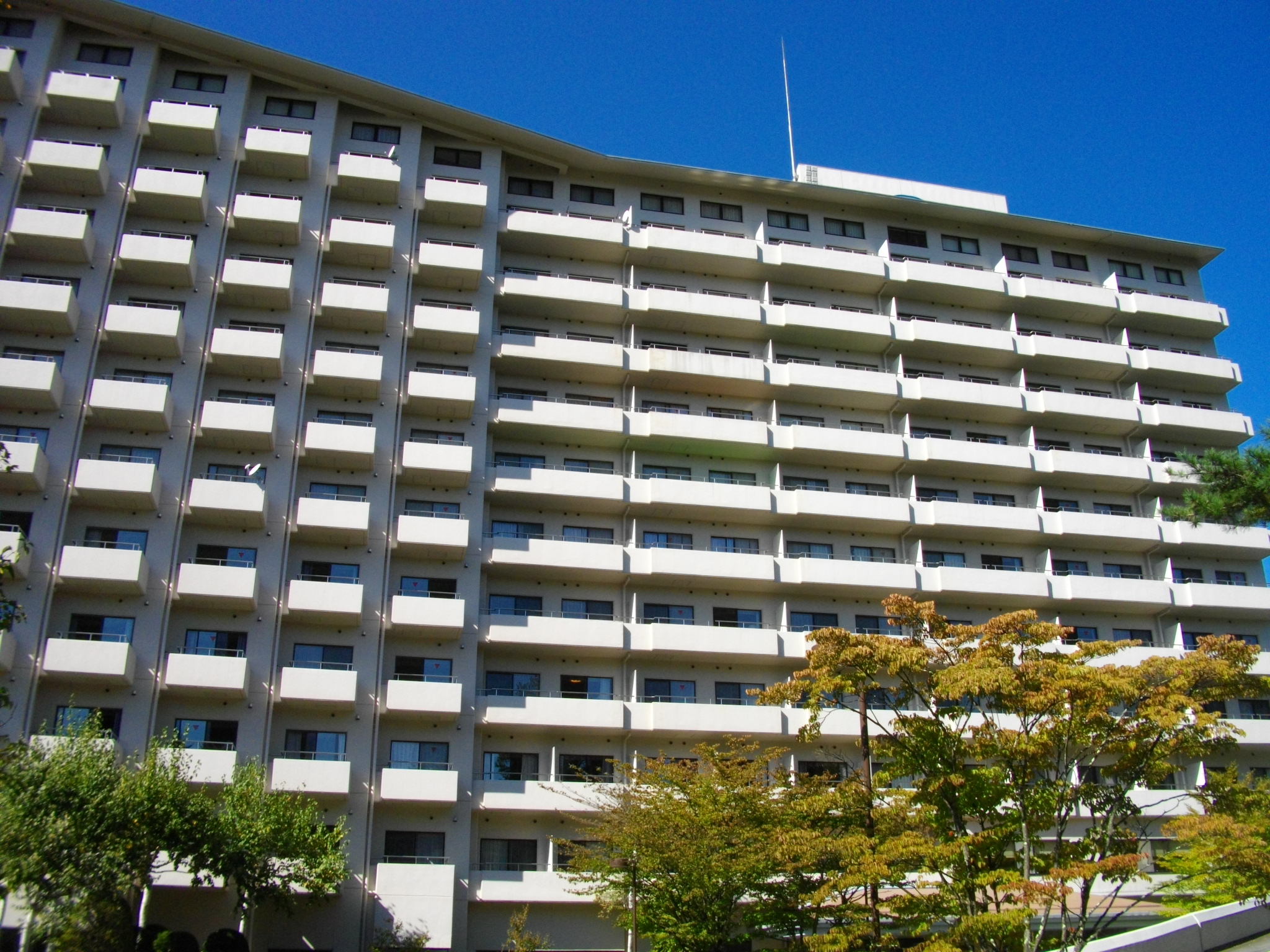 富士山河口湖里吉尼亞酒店