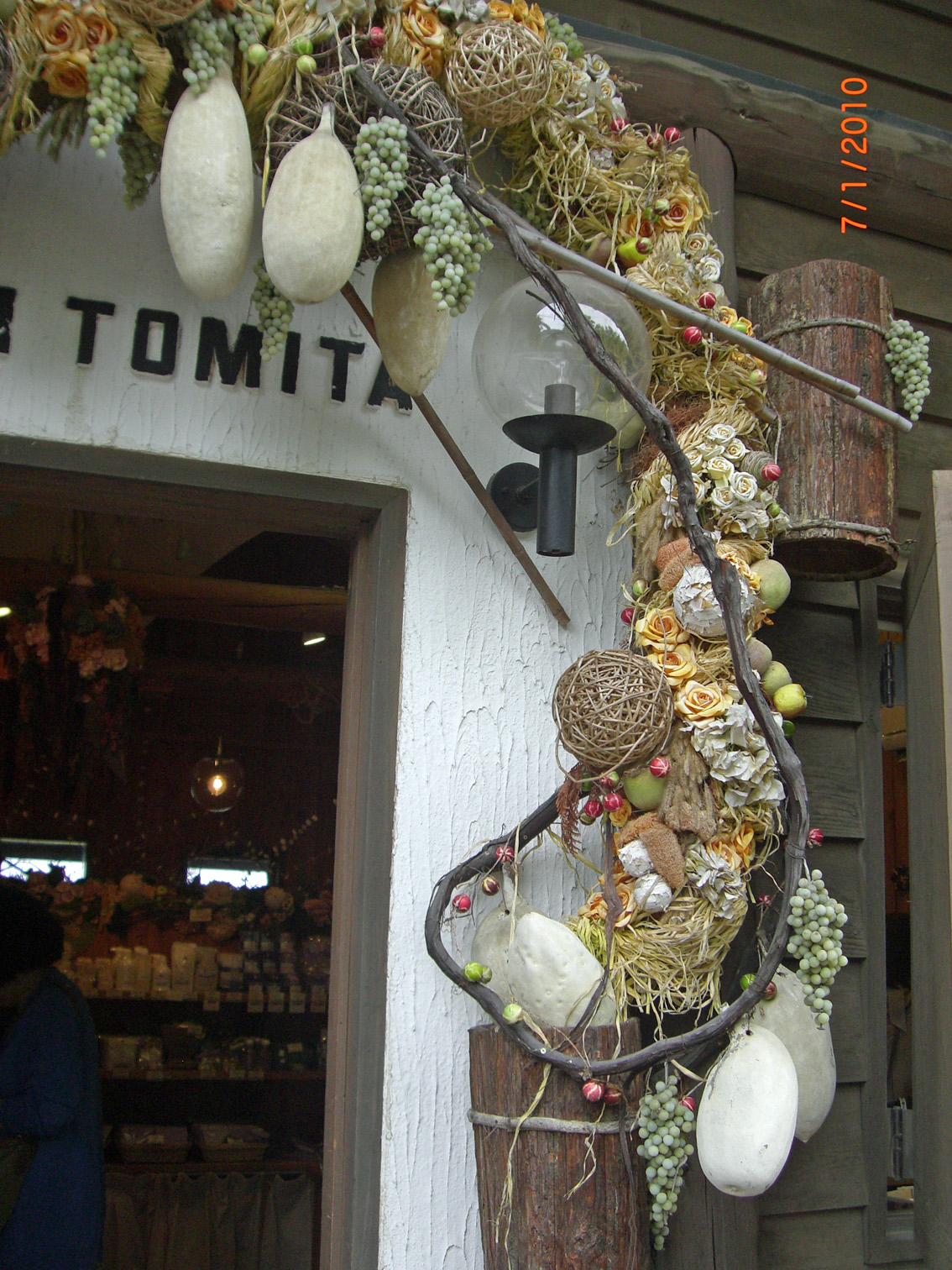 富田農場薰衣草全景