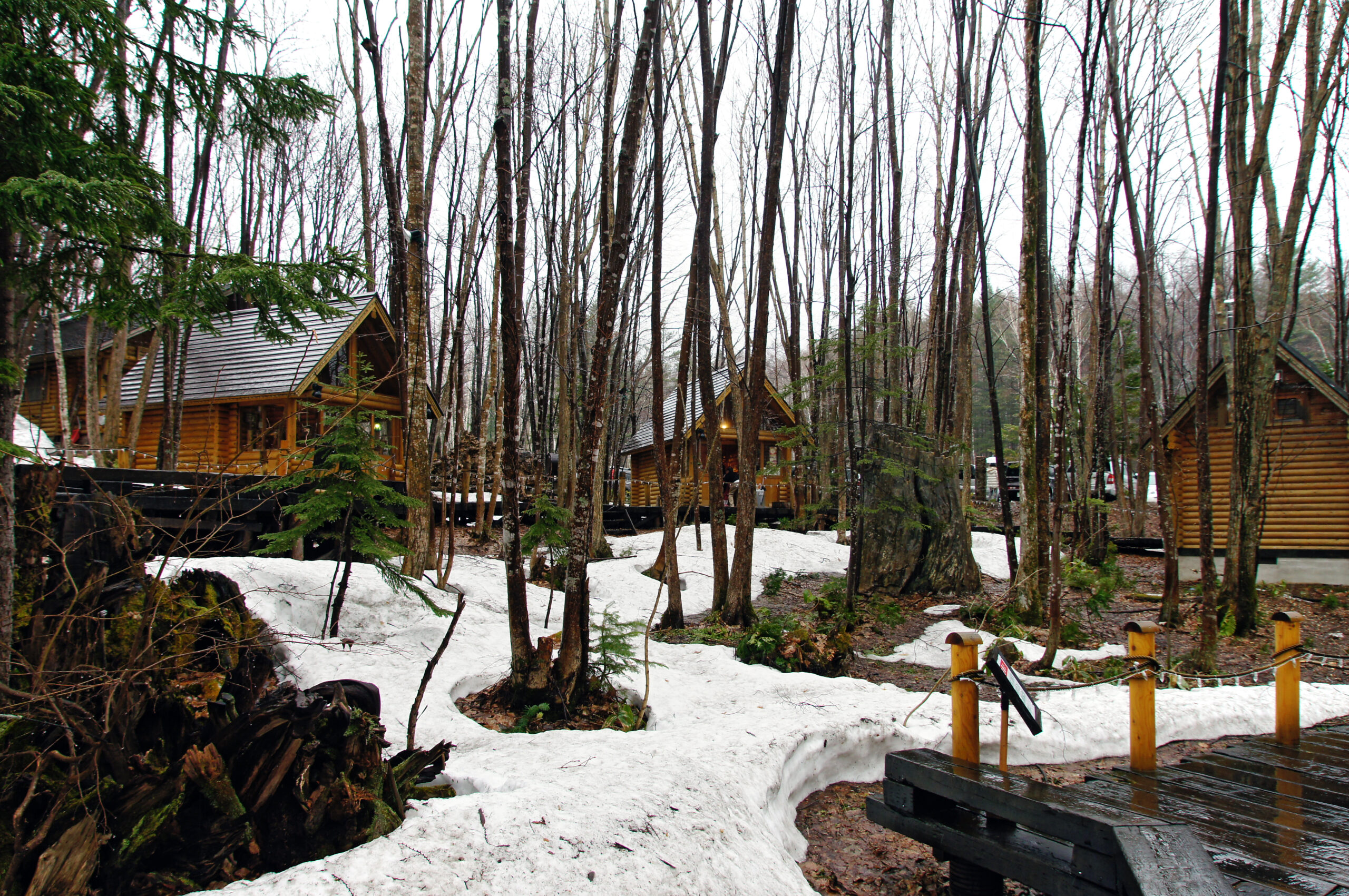 富良野森林精靈露台夜景