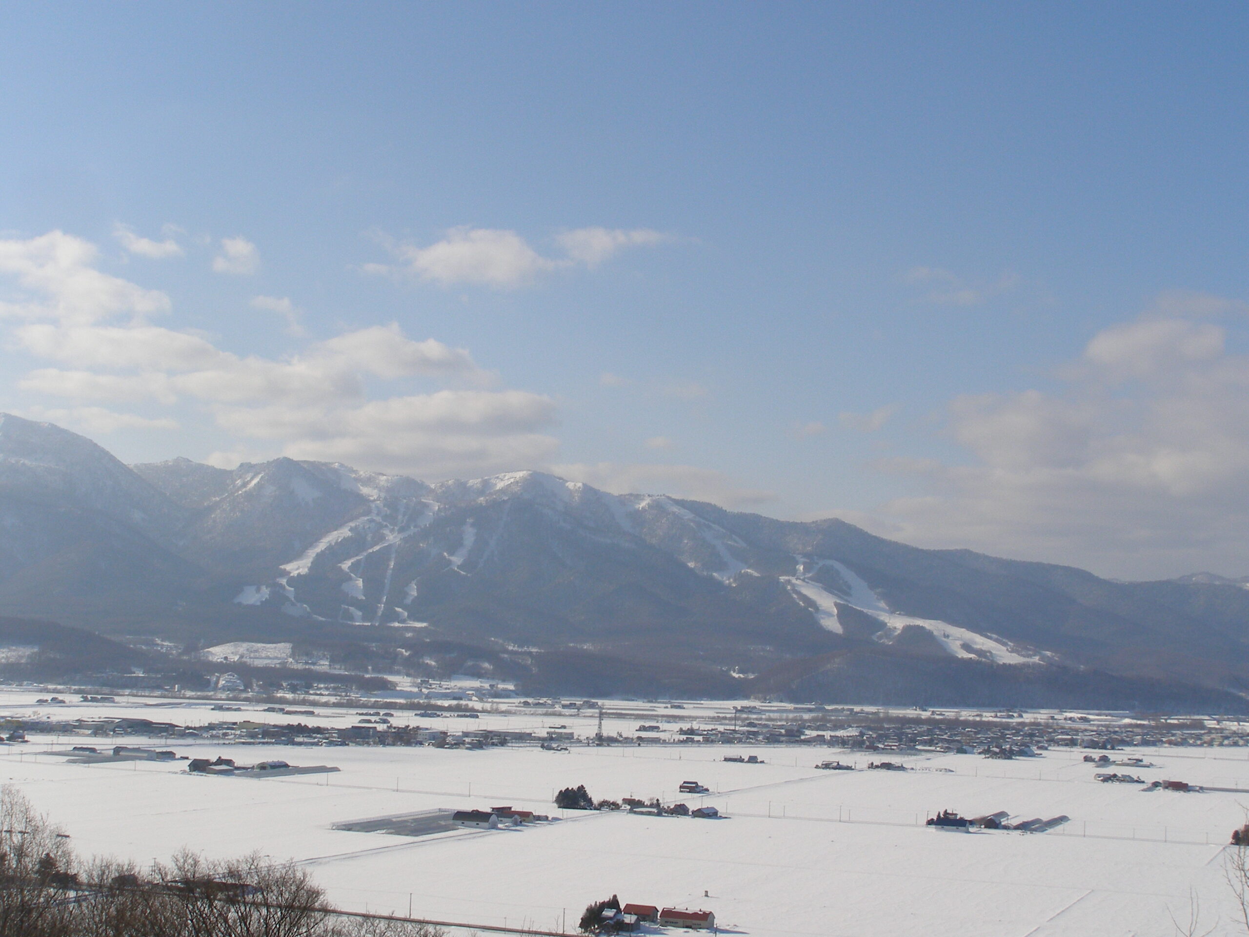 富良野滑雪場全景
