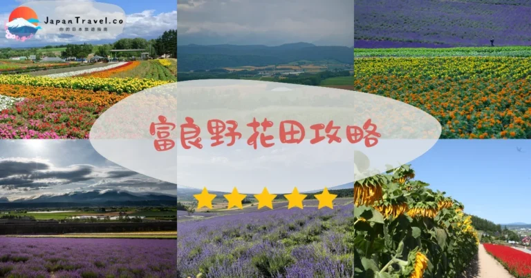 【富良野花田】7大景點免費：7月薰衣草+交通