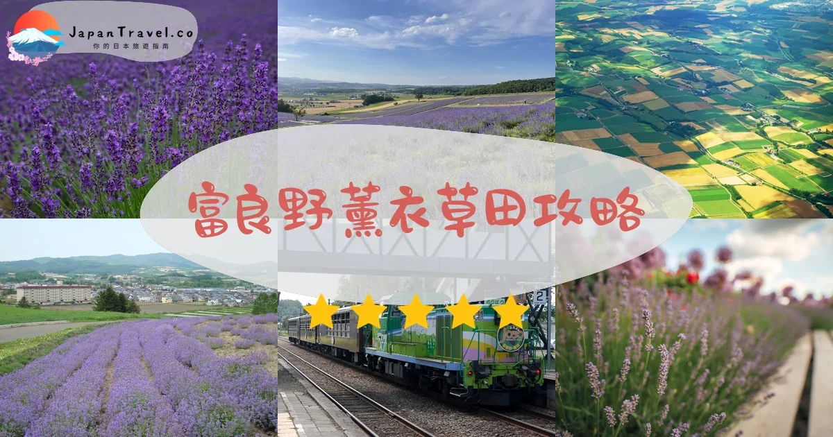 富良野富良野薰衣草田攻略 - 完整遊覽指南 | JapanTravel.co