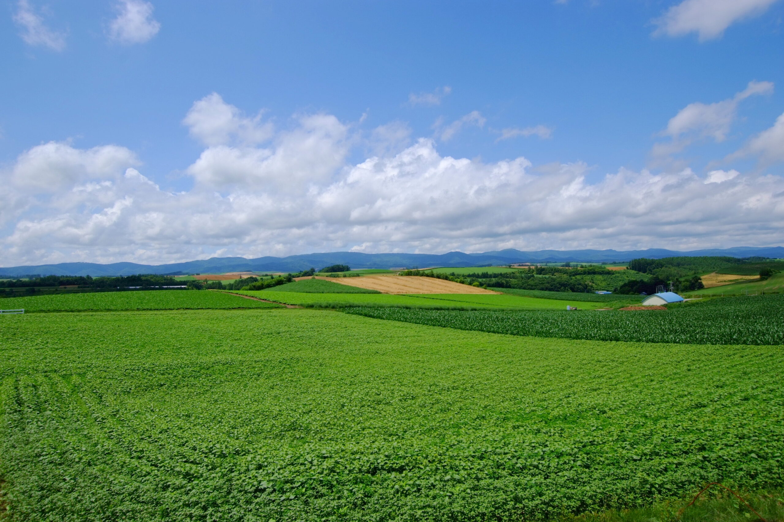 新榮之丘展望公園全景