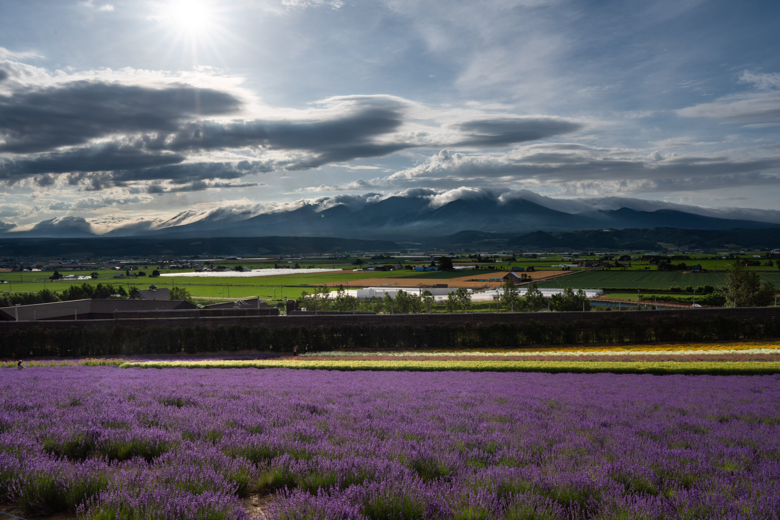 朝霧中的富田農場與十勝岳